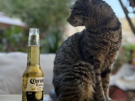 圈圈裡·海濱花園度假民宿（深圳大鵬較場尾店）優惠