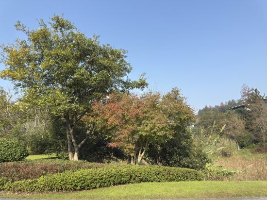 大樂之野（安吉桃花源店）優惠