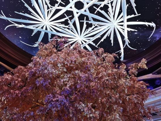 澳門帝濠酒店優惠