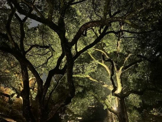 杭州西湖國賓館·西湖第一名園優惠