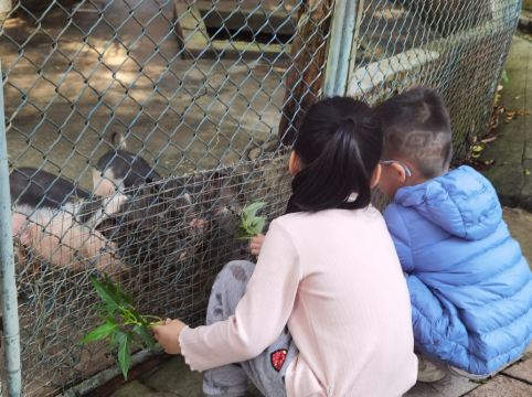 東莞觀瀾湖度假酒店優惠