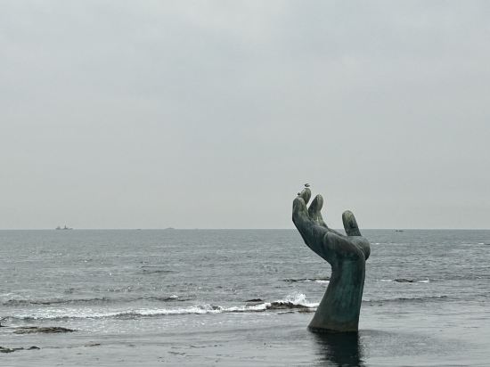 Pohang Uni's Sea Caravan (Homigot Branch) 쿠폰