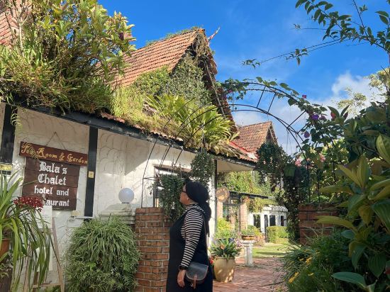 金馬倫高原種植園鄉村酒店優惠