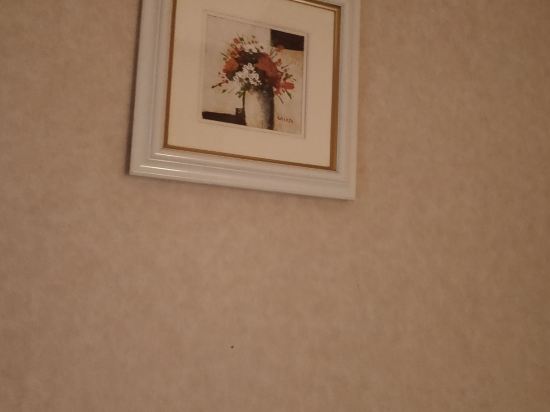 ホテルニュースター池袋 クーポン