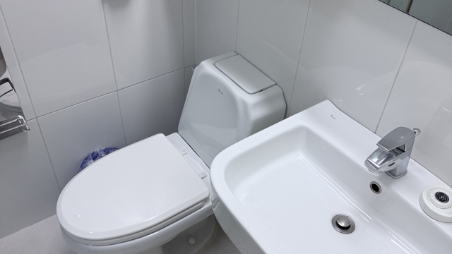 review picture