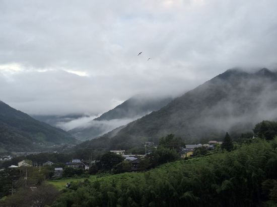 켄싱턴리조트 지리산하동 쿠폰