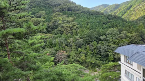 鬼怒川温泉 花の宿 松や ホテル周辺 Photos