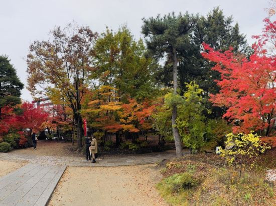 松本威爾頓飯店優惠