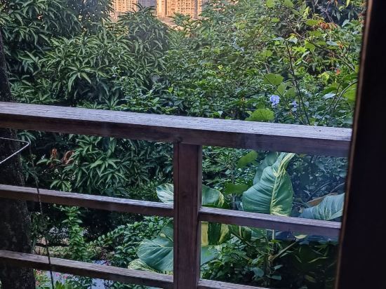 深圳青青世界飯店優惠