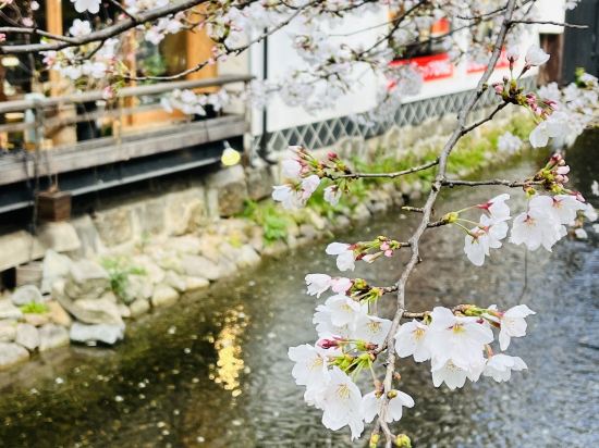 スーパーホテル京都・四条河原町　天然温泉「御所の湯」 クーポン