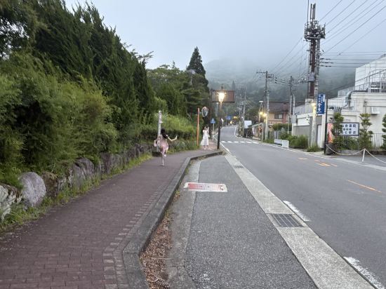 リ・カーヴ箱根 クーポン