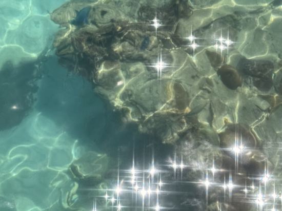 停泊島度假村優惠