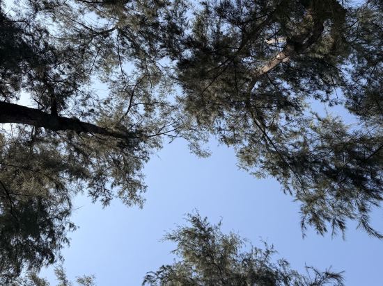 美利亞普吉島邁考飯店優惠