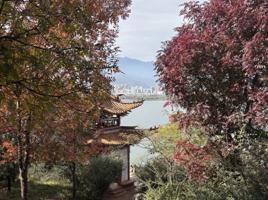 大理洱海天域英迪格酒店優惠