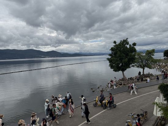 大理洱朵花園海景酒店優惠