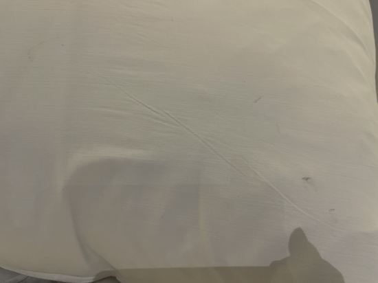 臺中伯達行旅優惠