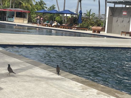 斐濟海灘希爾頓度假酒店優惠