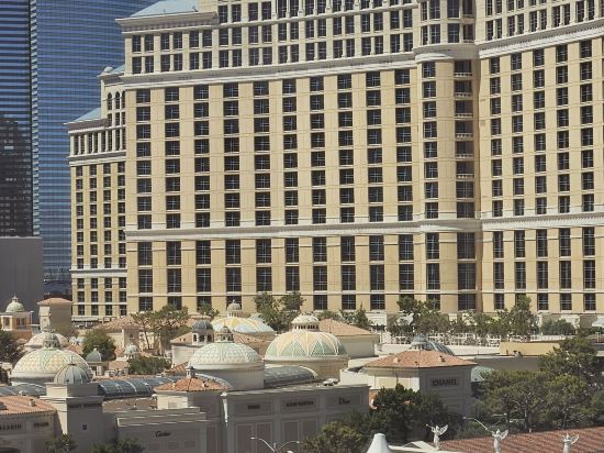 Review of Hotel Flamingo – Las Vegas, Nevada, USA - BayRosemary