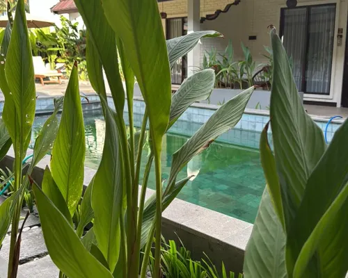 Bruga Boutique Hotel Photos