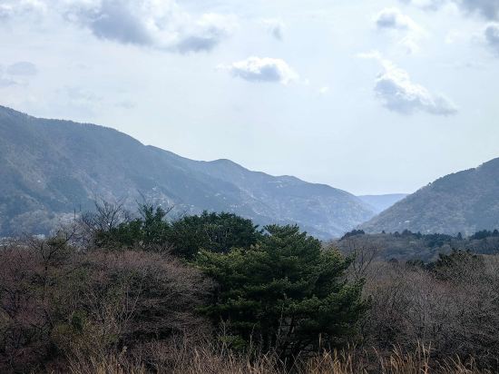 ゆとりろ庵 クーポン