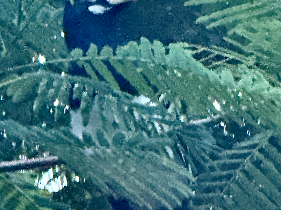 浮羅交怡瑞吉酒店優惠