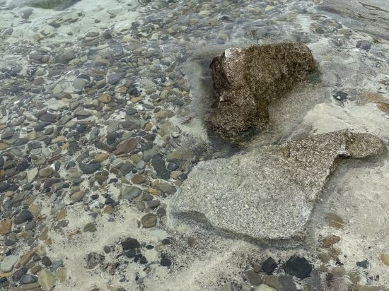 紀州・白浜温泉 むさし クーポン