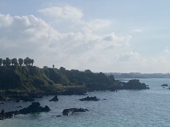 베스트 웨스턴 제주 호텔 쿠폰