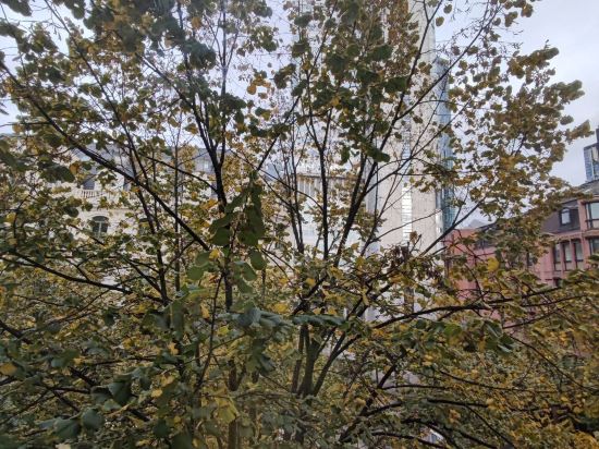 法蘭克福中央車站舒適酒店優惠