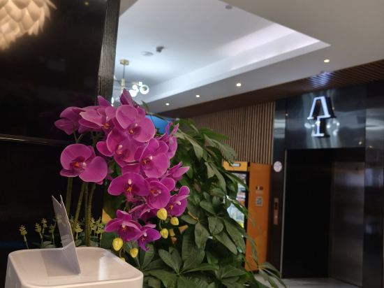 雅園筍崗飯店（深圳羅湖筍崗地鐵站店）優惠