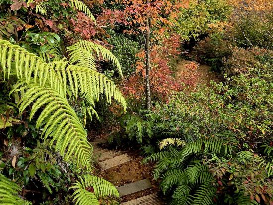 京都威斯汀飯店優惠