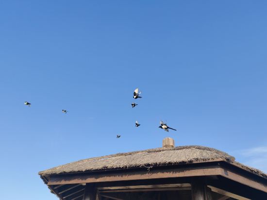 齊齊哈爾御楓飯店（齊齊哈爾火車站店）優惠