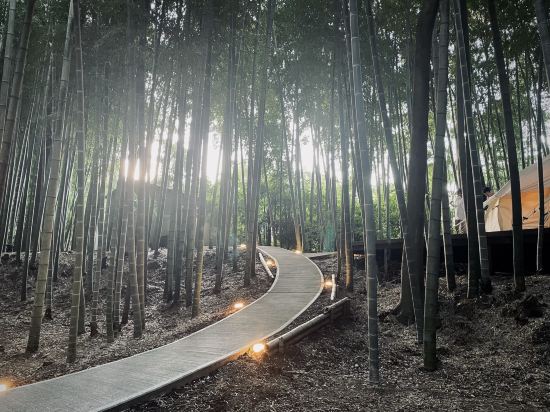 ザ・バンブーフォレスト クーポン