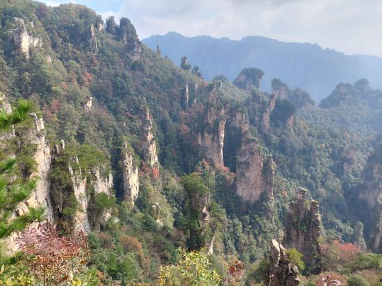 蘭亭·雅居飯店（張家界國家森林公園標誌門店）優惠