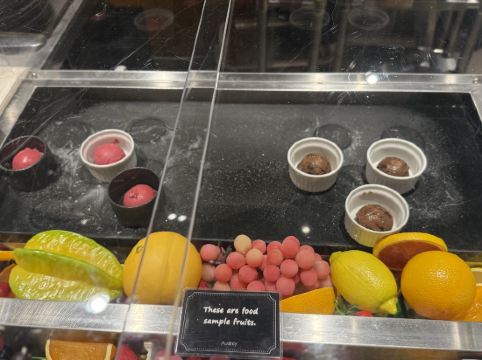 札幌大通公園景觀酒店優惠