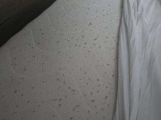 阿姆斯特丹門面酒店優惠