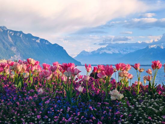 蒙特勒託斯卡納別墅酒店優惠