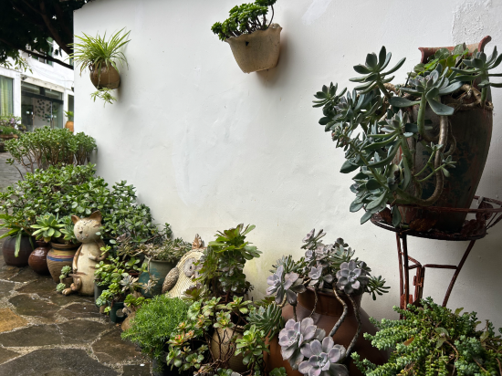 興義莫莫民宿優惠