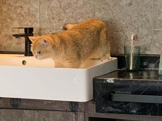 無它老洋房1929酒店（青島海底世界店）優惠