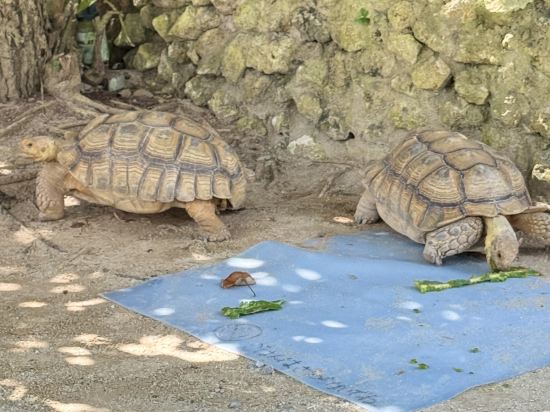 沖繩萬麗度假飯店優惠