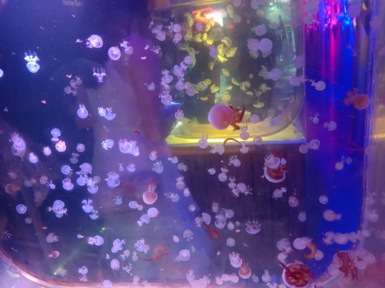 西安綠地假日酒店優惠