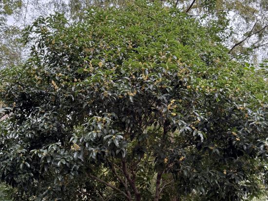 杭州西溪賓館優惠