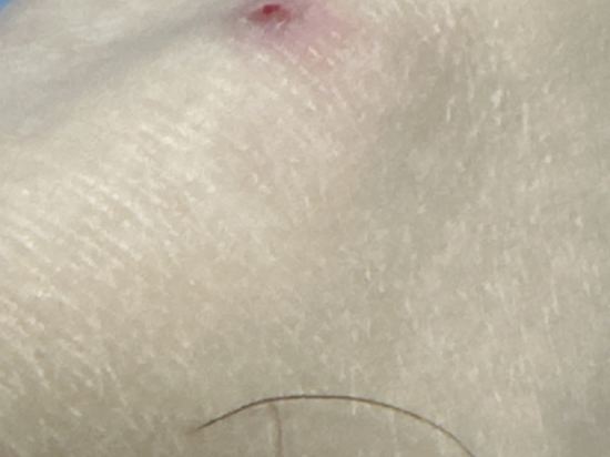 如家商旅飯店（漳州騰飛路古城店）優惠