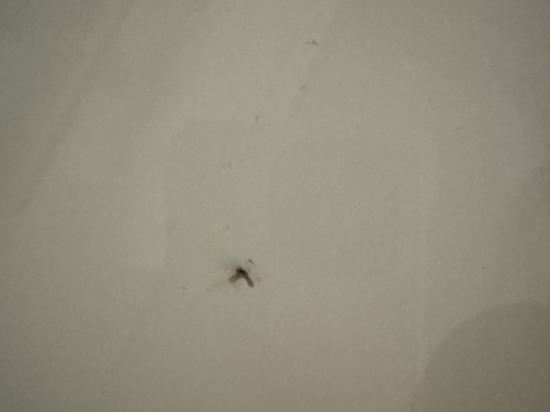 八號藝術酒店（上海外灘店）優惠