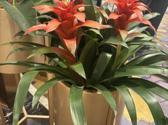 西貢中心酒店優惠