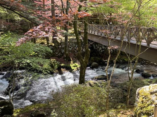 富士山温泉 ホテル鐘山苑 クーポン