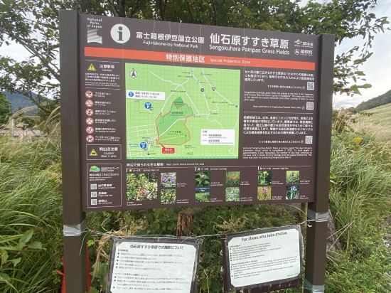 箱根toi民宿優惠