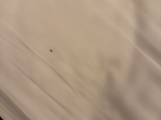 珠海棕泉水療酒店優惠