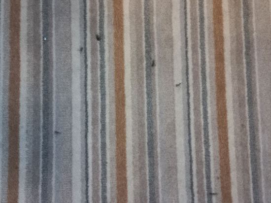 香港偉晴軒優惠