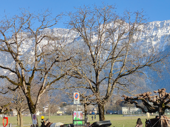 因特拉肯多諾德酒店優惠