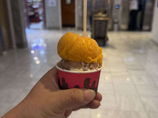 諾富特開羅機場飯店優惠